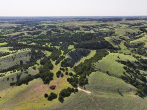 254 Acres, Lincoln County, Wellfleet Grazing and Hunting Ranch
