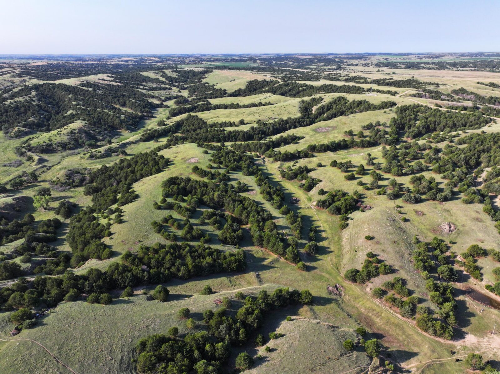 Wellfleet, Nebraska land for sale
