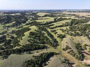 Wellfleet, Nebraska land for sale