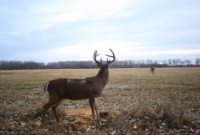 Harlan County Nebraska Farm hunting land for sale