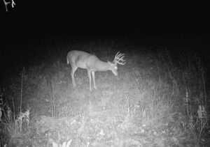 Harlan County Nebraska Farm hunting land for sale