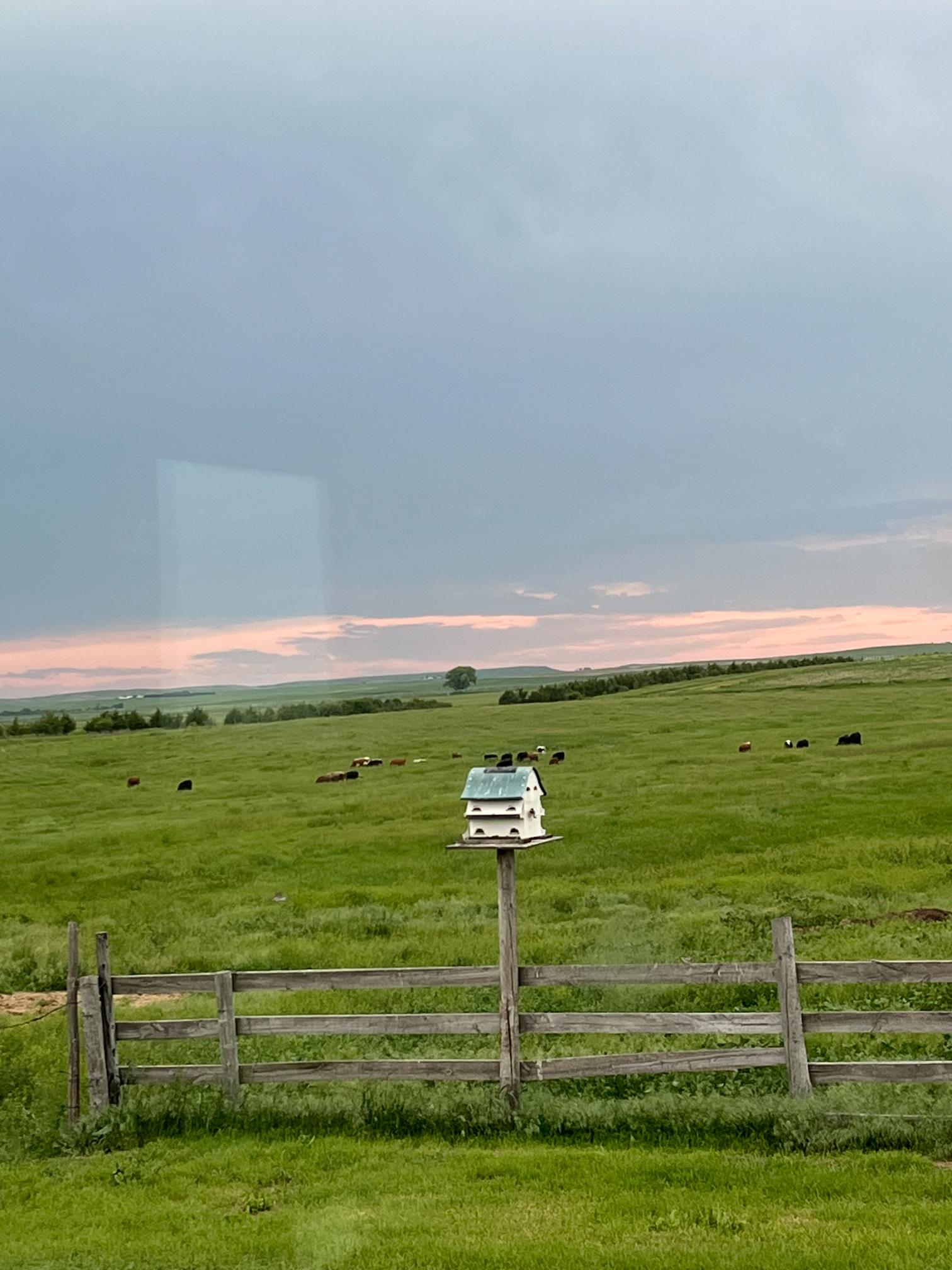 2622 670th Rd. Gordon, Ne home and land for sale