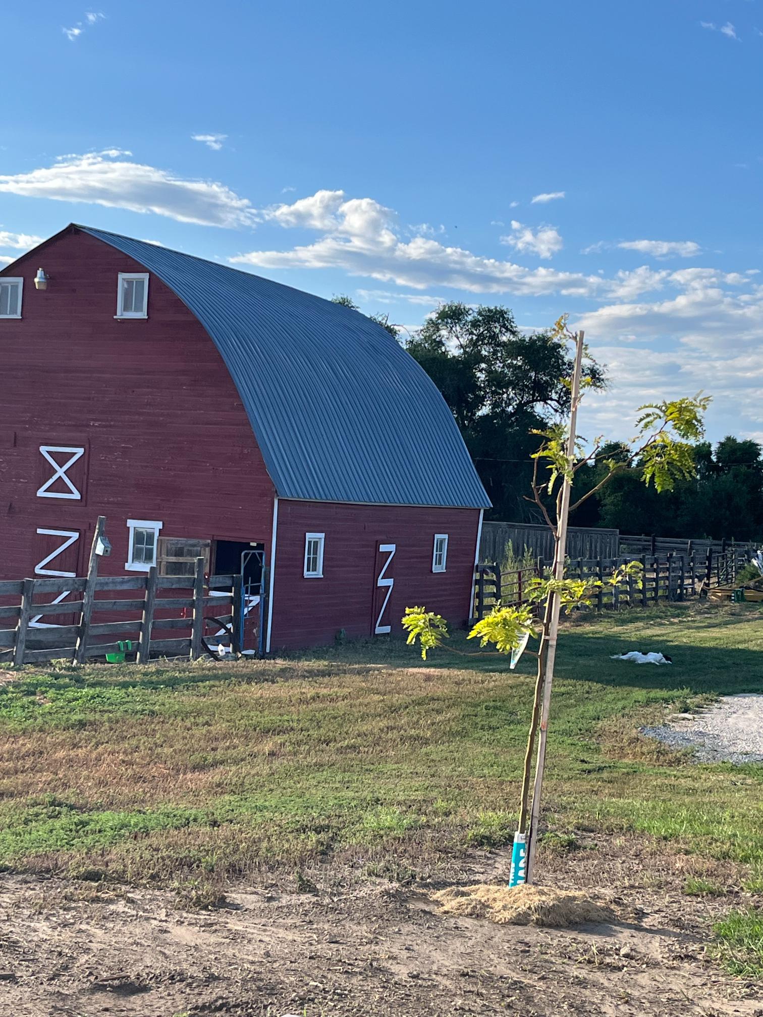 2622 670th Rd. Gordon, Ne home and land for sale