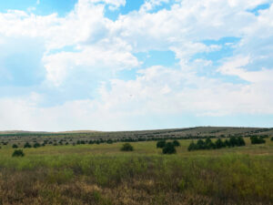Box Butte County Nebraska land for sale