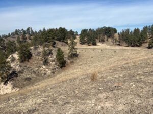 Crawford Nebraska Pine Ridge land for sale