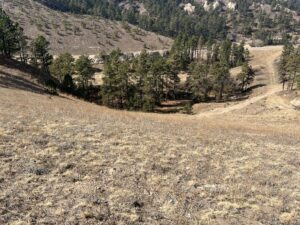 Crawford Nebraska Pine Ridge land for sale