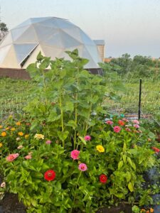 2622 670th Rd. Gordon, Ne home and land for sale