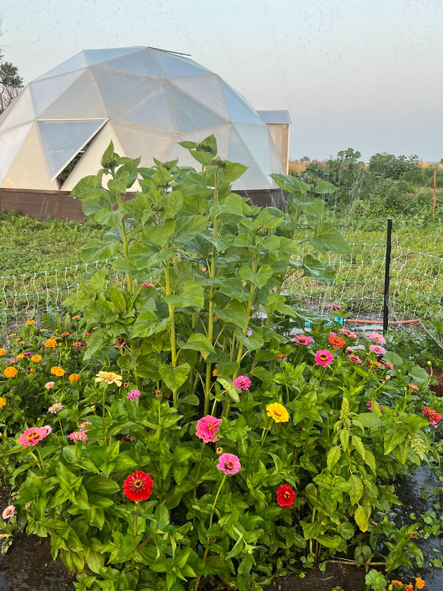 2622 670th Rd. Gordon, Ne home and land for sale