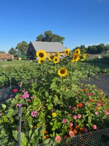 2622 670th Rd. Gordon, Ne home and land for sale