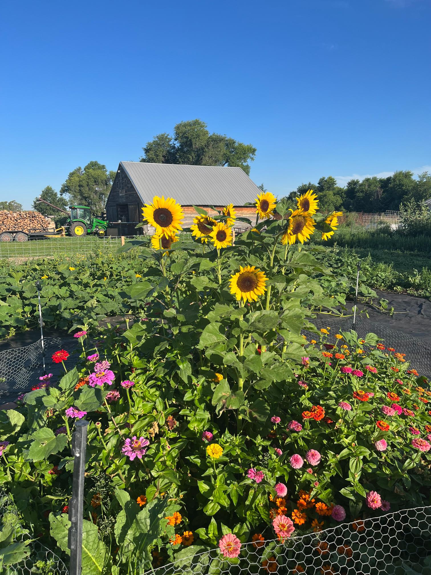 2622 670th Rd. Gordon, Ne home and land for sale