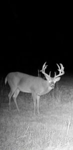 Harlan County Nebraska Farm hunting land for sale