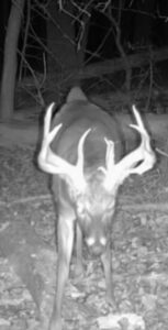 Harlan County Nebraska Farm hunting land for sale