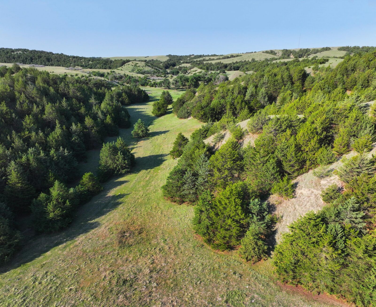 Wellfleet, Nebraska land for sale