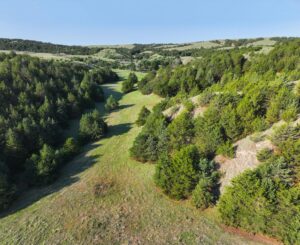Wellfleet, Nebraska land for sale