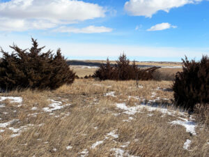 Box Butte County CRP land hunting for sale