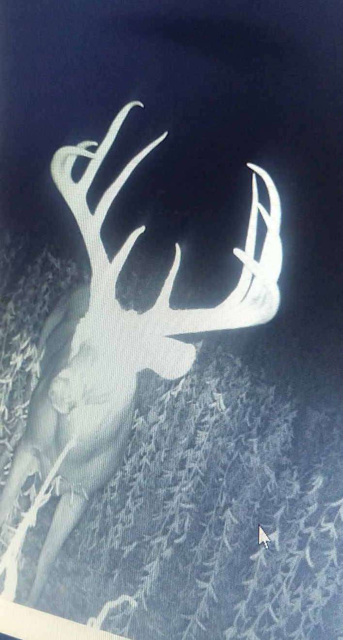 Harlan County Nebraska Farm hunting land for sale