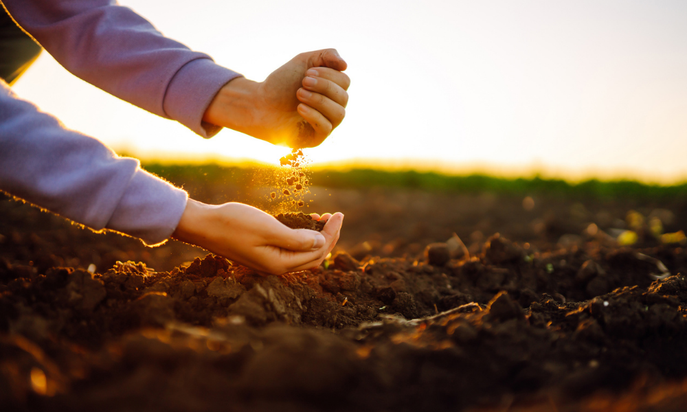 From Sandhills to River Ground: How to Make Money With Nebraska Land