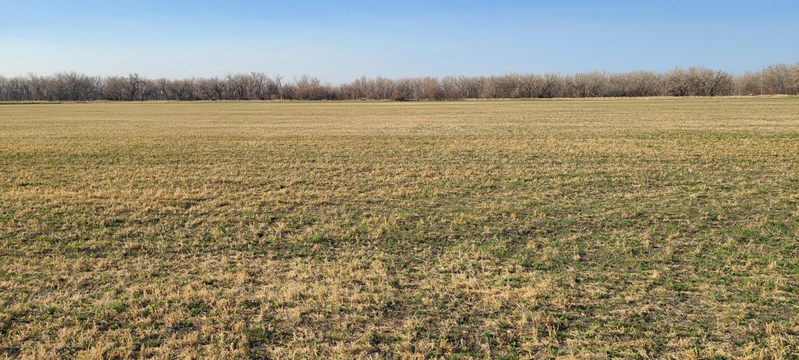 North Platte, Nebraska vacant land for sale