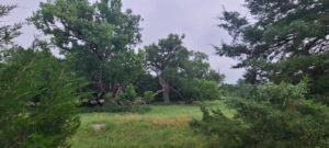 Land for sale North Platte, Nebraska