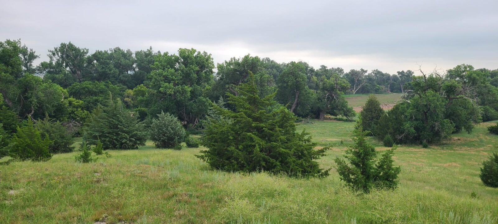 Land for sale North Platte, Nebraska