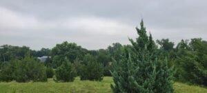 Land for sale North Platte, Nebraska