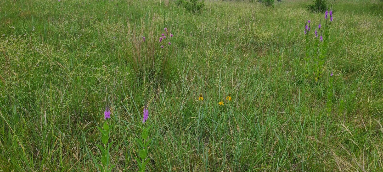 Land for sale North Platte, Nebraska