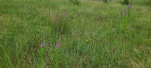 Land for sale North Platte, Nebraska