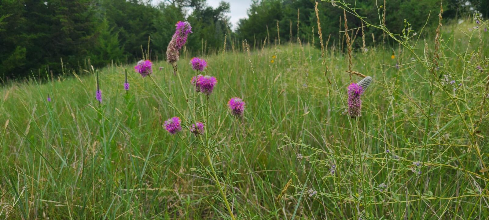 Land for sale North Platte, Nebraska