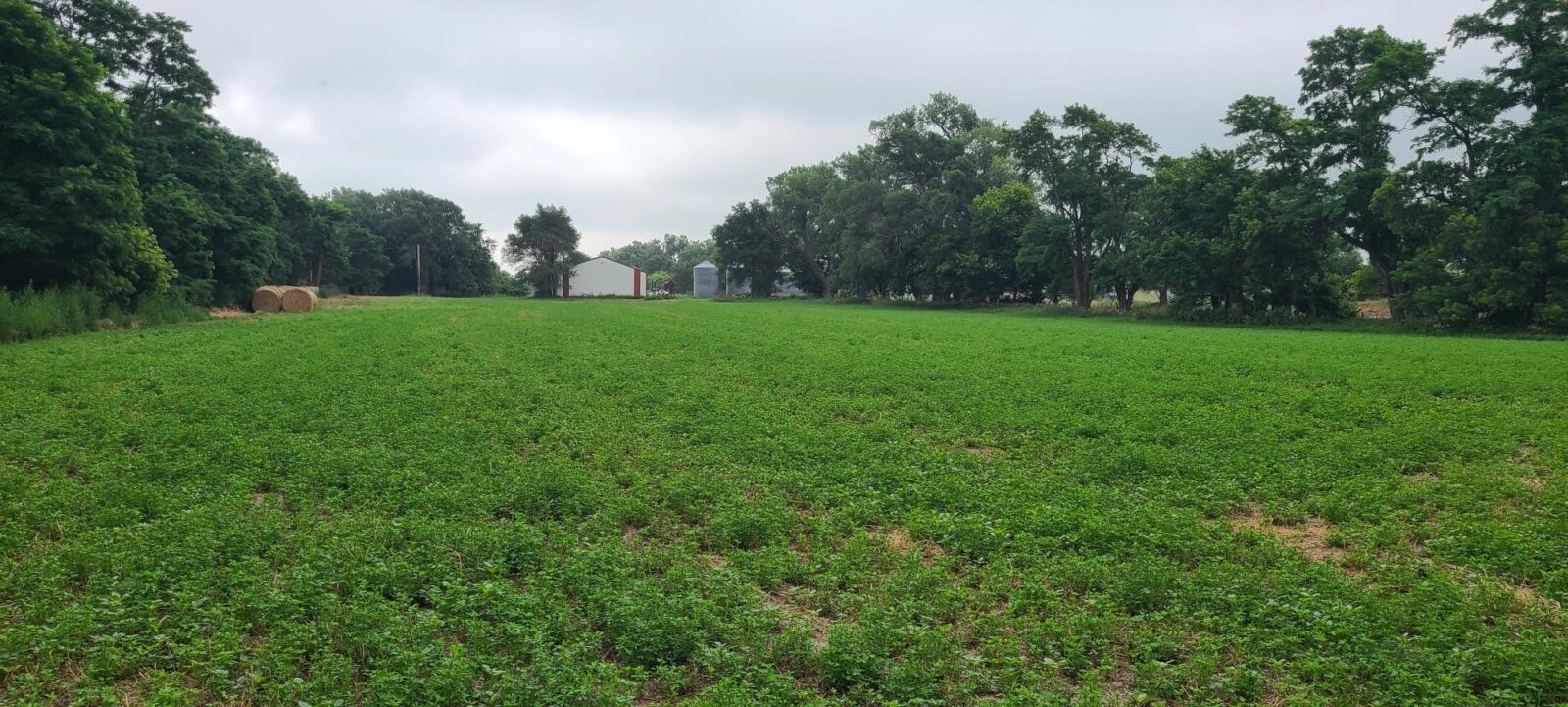 Land for sale North Platte, Nebraska