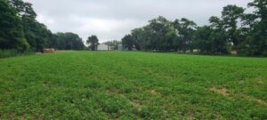 Land for sale North Platte, Nebraska