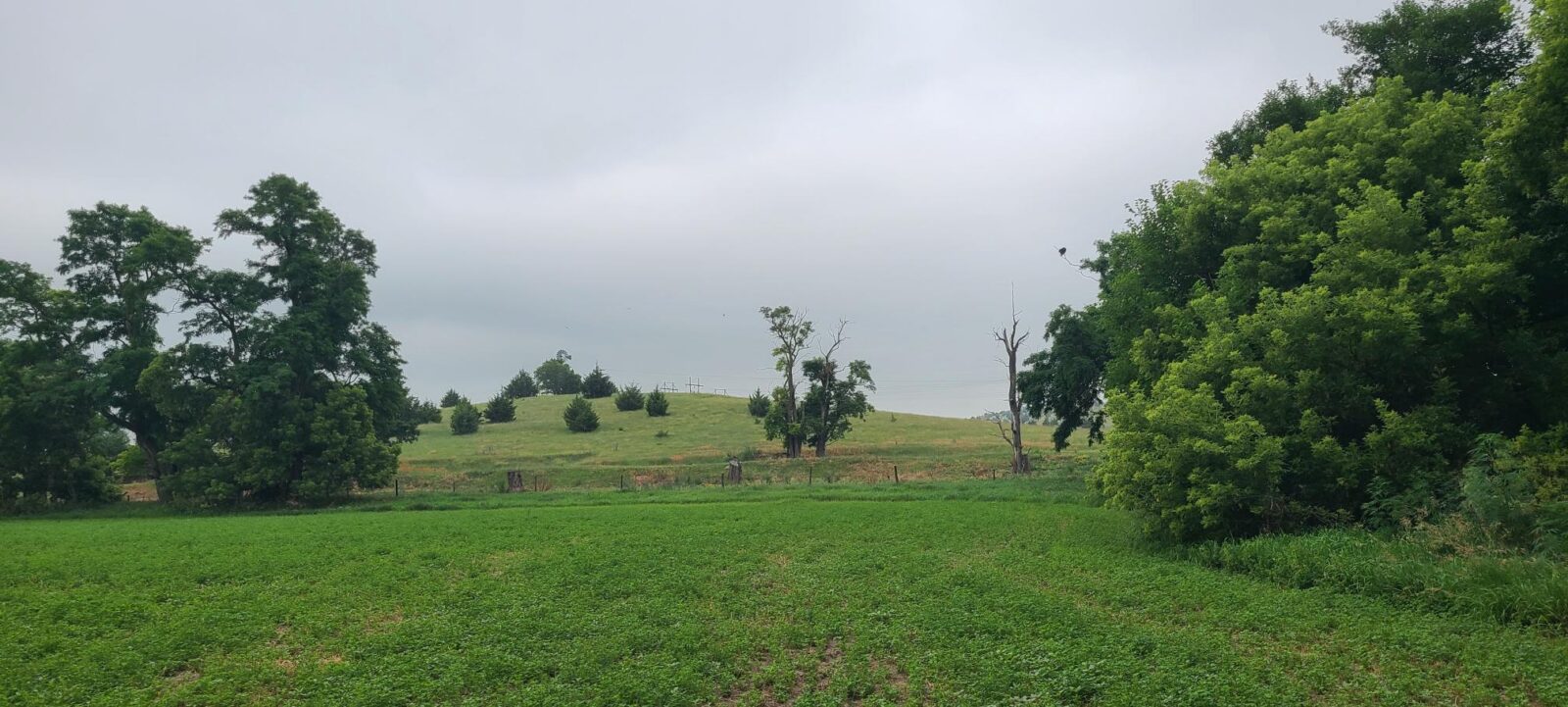 Land for sale North Platte, Nebraska