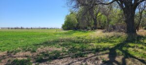 Land for sale North Platte, Nebraska