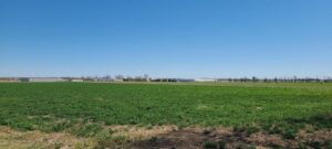 Land for sale North Platte, Nebraska