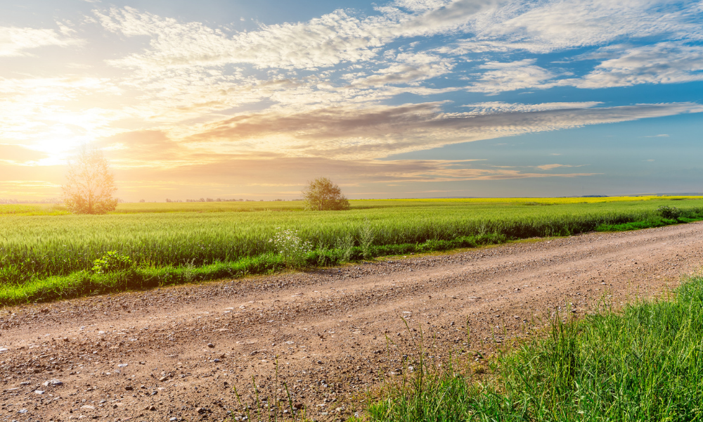 From Sandhills to River Ground: How to Make Money With Nebraska Land