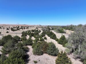 Land for sale North Platte, Nebraska