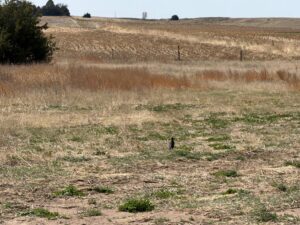 17986 W. Antelope Rd., Hershey, NE home for sale