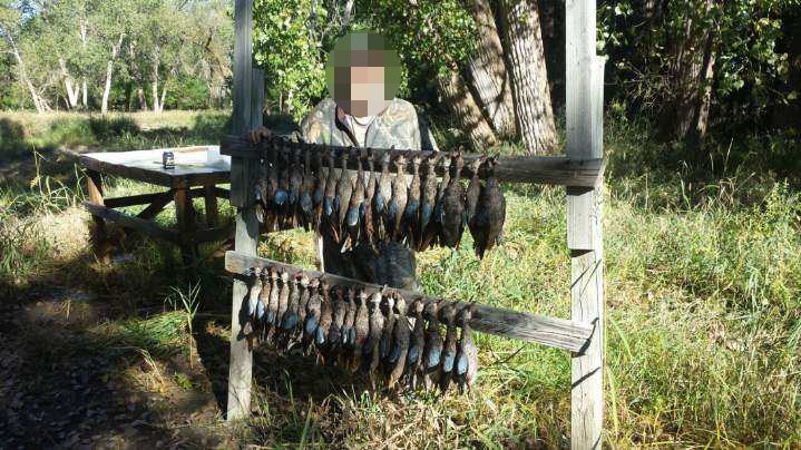 Waterfowl hunting land for sale Nebraska