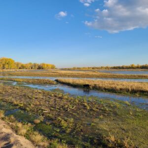 Waterfowl hunting land for sale Nebraska