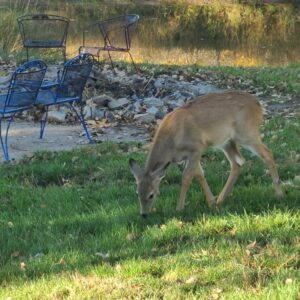 Waterfowl hunting land for sale Nebraska