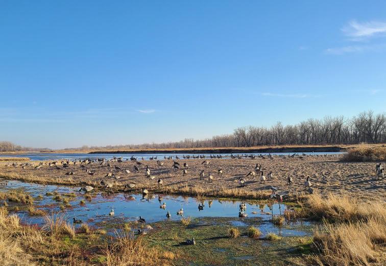 181 Acres, Dawson County, Platte River Waterfowl Lore  