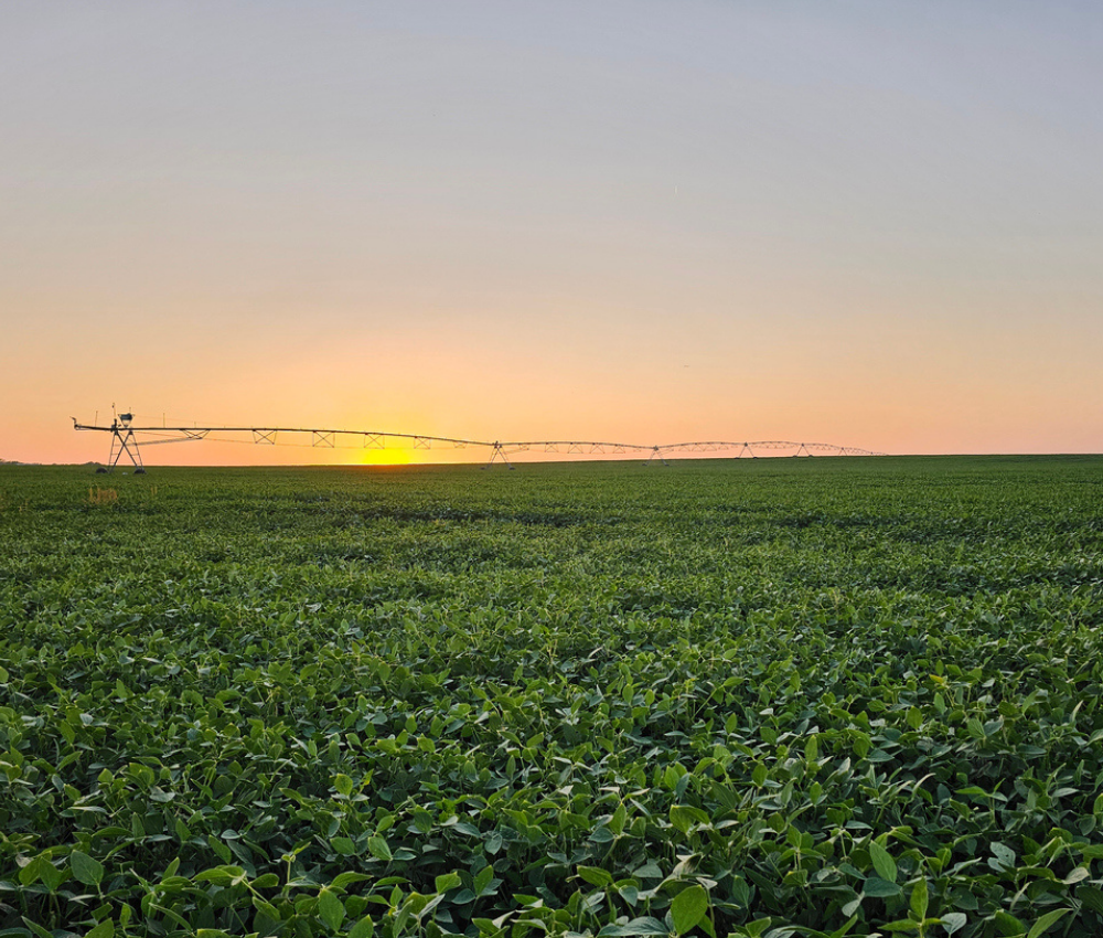 Nebraska Farms For Sale  