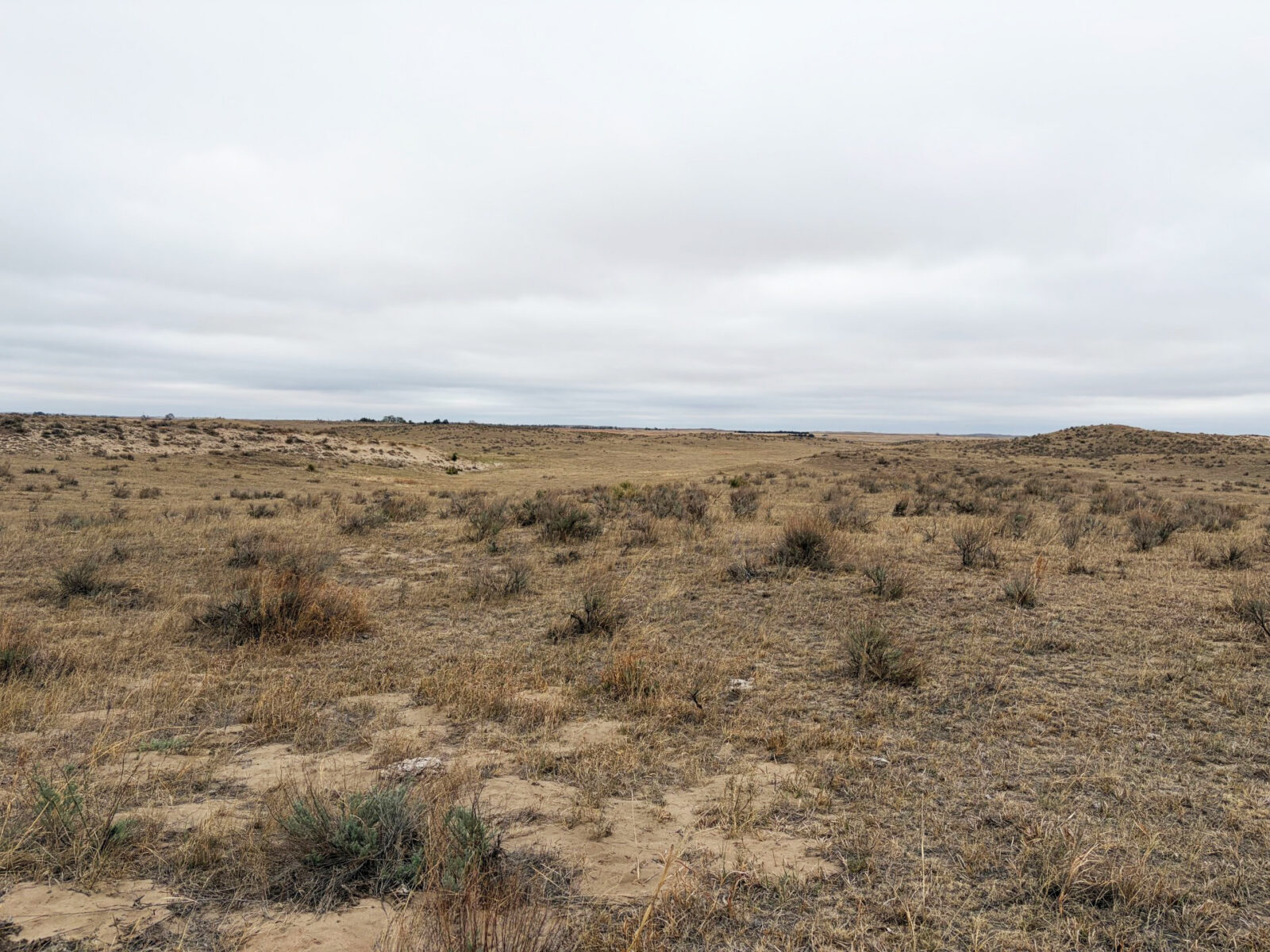 Garden County Nebraska land for sale Oshkosh