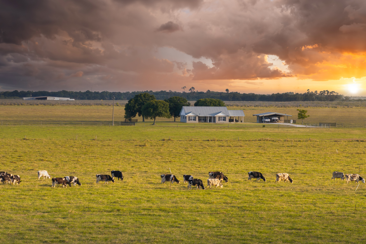 Nebraska Farms For Sale  