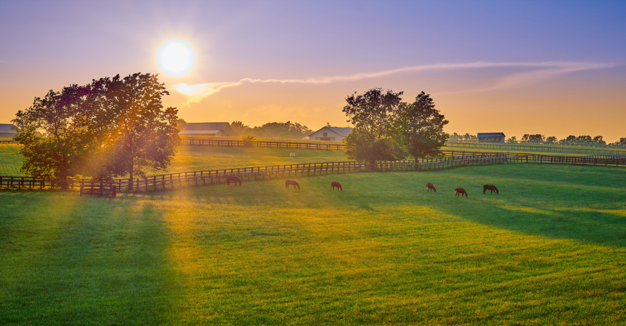 Recreational/Hunting Land  