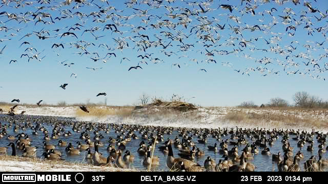 Waterfowl hunting land for sale Nebraska