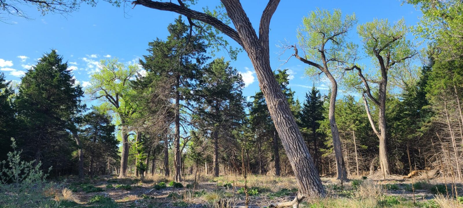 Maxwell Nebraska Lincoln County hunting land for sale