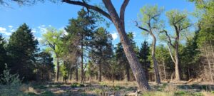 Maxwell Nebraska Lincoln County hunting land for sale