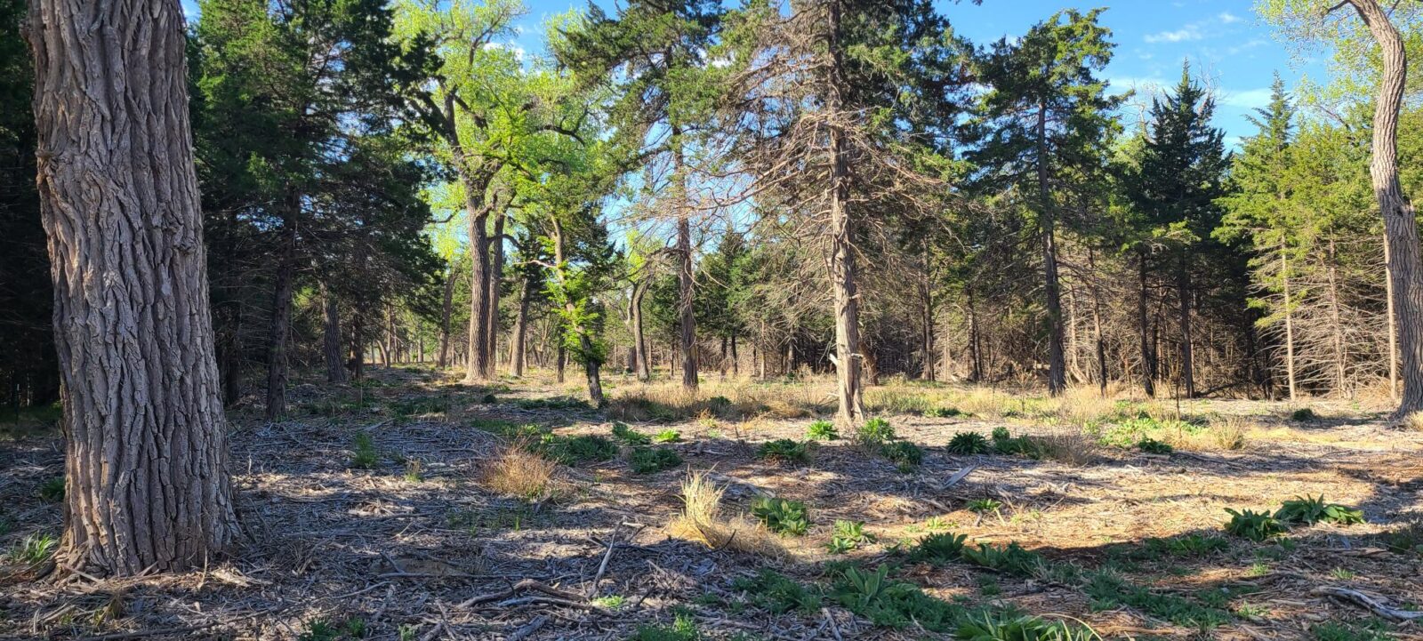 Maxwell Nebraska Lincoln County hunting land for sale