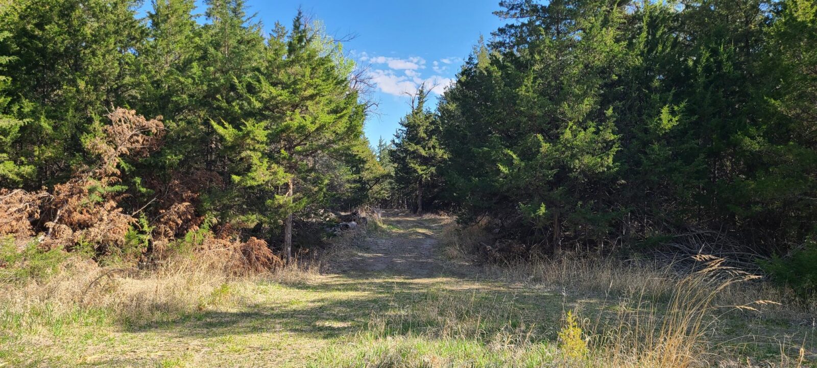 Maxwell Nebraska Lincoln County hunting land for sale