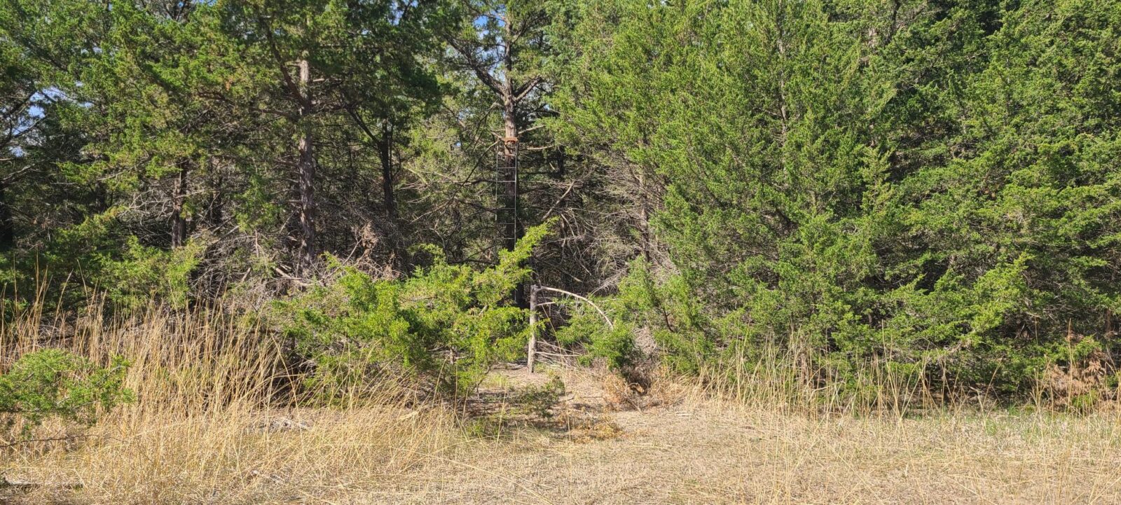 Maxwell Nebraska Lincoln County hunting land for sale